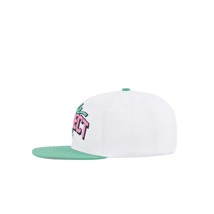Retro Dude Script Snapback Hat