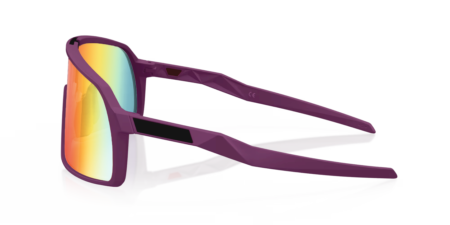 Neon DP Sunglasses