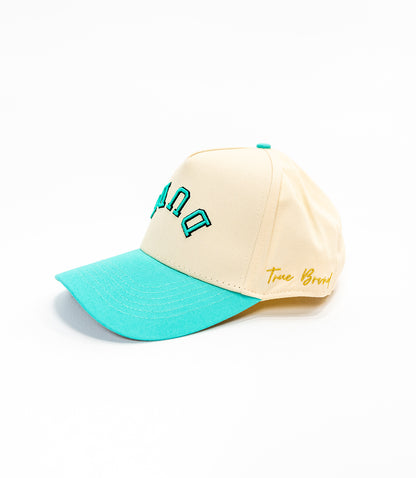 The DUDE Hat - Cream/Mint