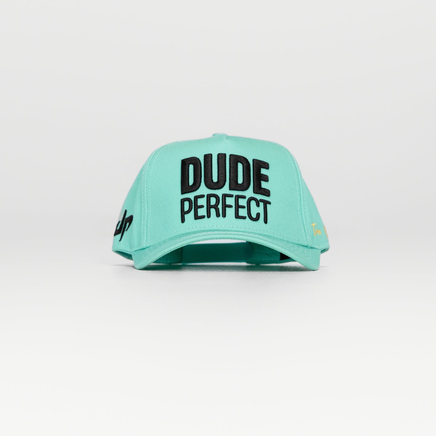 The DUDE Youth Hat - Mint